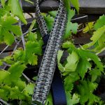 Two Point Paracord gun sling. Primary color woodland camo. Secondary color od green. Extra wide double cobra weave. GrovTec quick disconnect swivels.