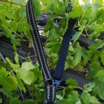 Convertible single point paracord gun sling. Primary color coyote brown. Secondary color black. Double cobra weave. HK hooks