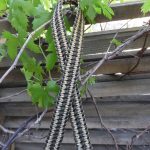 Two point paracord gun sling. Primary color desert camo. Secondary color od green. Double cobra weave. GrovTec quick disconnect swivels.